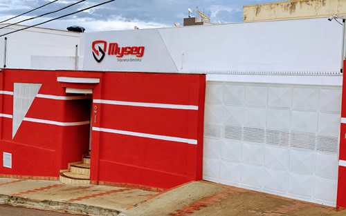 Myseg Monitoramento e Segurança Eletrônica