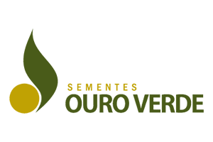 Sementes Ouro Verde